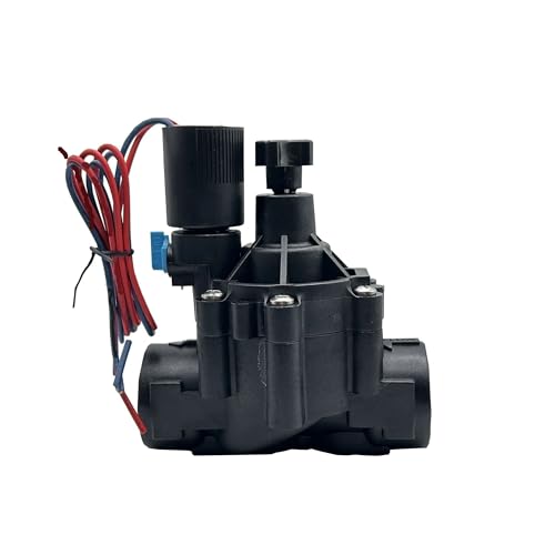 Irrigation paysagère réussie grâce à l'électrovanne 1-1/4 110V