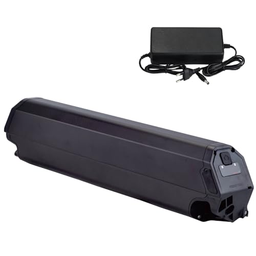 Batteria Ebike 48V 15Ah per 250W 350W 500W 750W batteria di ricambio per Dorado Plus bicicletta elettrica scooter Li-ion con caricabatteria 48V 15Ah