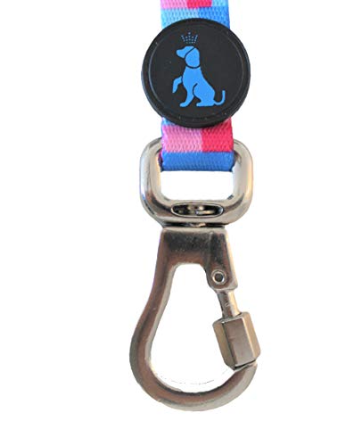 Peitoral Antipuxão + Coleira + Guia Piazza Para Cachorros Grande Porte Tam G