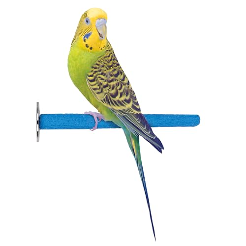 Ciment bird perchoir accessoire cage perruche et canari 17,8 cm - 7