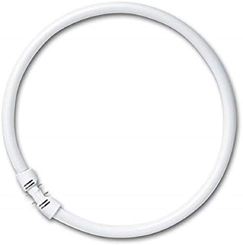 Preisvergleich Produktbild Ring-Leuchtstofflampe T5 FC 22 Watt 840 2Gx13 - Osram