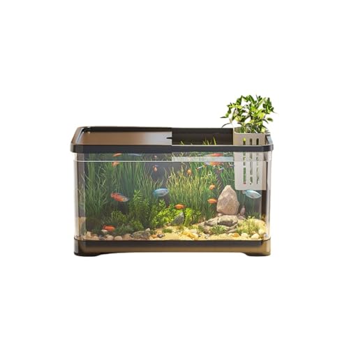 KIEHUA XNGA^ ƒp ^`^ z S GA[VVXe É k͔| pr (ubN)