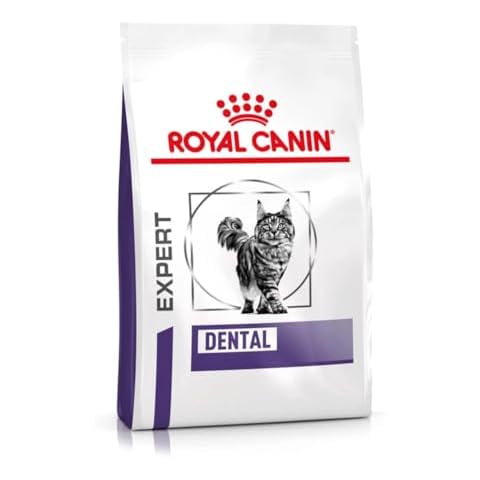 ROYAL CANIN Dental Dry Cat Food for Adult Cats Cover