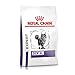 Price comparison product image ROYAL CANIN Veterinary Diet Dry Cat Food Dental 3 Kg