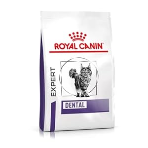 ROYAL CANIN Veterinary Diet Dry Cat Food Dental 3 Kg