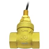 Wasserströmungsschalter SEN-DB15 Kupfer G1/2 Zoll