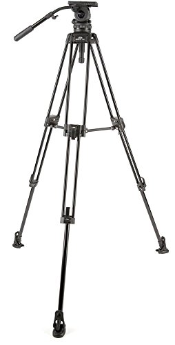 Davis & Sanford Pe3100-15 Proelite 100Mm 15 Lb Fluid Broadcast Tripod Kit (Black) #TOP15