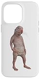 Live Weird Funny Naked Mole Rat Strange Animal Case for iPhone 14 Pro Max