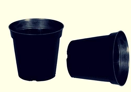 Arkas Nursery Plastic Pots 4 inch Small - Black (Pack of 40 Pieces) (B08L9L14X4) Amazon Price History, Amazon Price Tracker