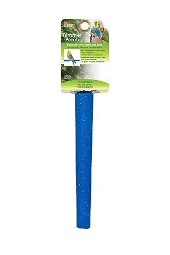 Ciment bird perchoir accessoire cage perruche et canari 17,8 cm - 3