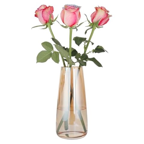 YAJODI 8.7'' Tall Clear Glass Flower Vase,Thickened Crystal Glass Vase for Flowers，Centerpieces, Home Décor (Amber, Large) Cover