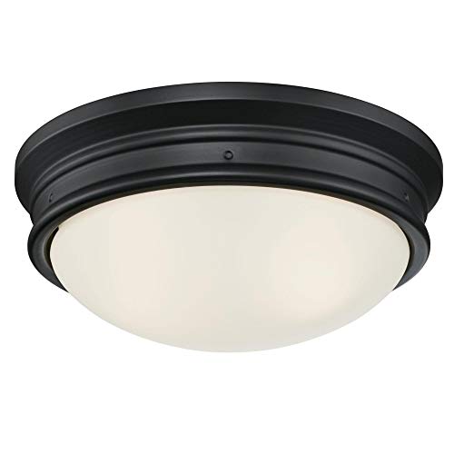 Westinghouse 6578100 Meadowbrook 13 inch Traditional Two-Light Flush Mount Outdoor Ceiling Light Fixture Matte Black Finish, Frosted Glass by Westinghouse - Used condition - US$39.18