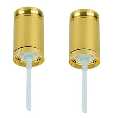 2 Pcs Foundation Pump Fit For Estee Lauder Double Wear Makeup Foundation Bottles Control Cosmetic Liquid Quantity Instead Of Wasting (Gold) #TOP11