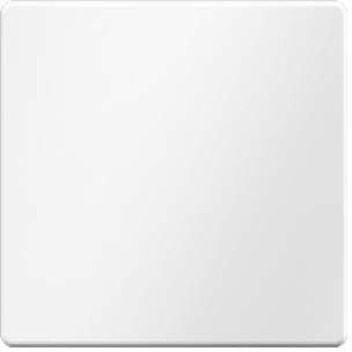 Preisvergleich Produktbild Hager Taste Einfach am Q1 weiß Polar