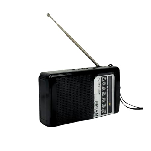 Rádio Radinho Digital AM/FM, 2 Bandas, P2, Carreg TIPO-C 5V (cabo - C) - A pilha 2x AA, Cabe no seu