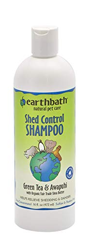 Earthbath Natural Dirty Dog Orange Oil Shampoo with Orange Scent, 16Oz