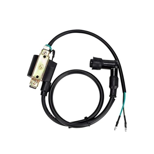Bobine d'allumage de moto pour restaurer l'énergie de votre ATV de loisir