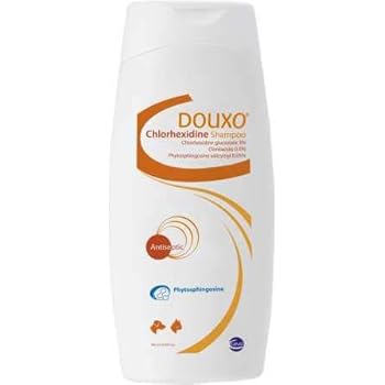 science diet veterinary