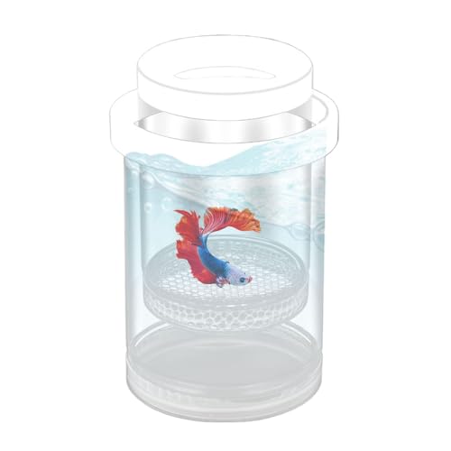 Caja De Aislamiento De Reproducción De Peces Flotantes - Caja De Criadores De Peces | Incubadora De Criadero De Guppy Transparente, Tanque De Aislamiento Flotante, De Criador De Betta,