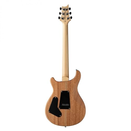 PRS Guitars 6 String SE Custom 24 Electric Guitar, Turquoise with Gig Bag, Right, Turquiose (107993::TU:)