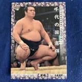 BBM2018 大相撲カード 17 千代の国憲輝