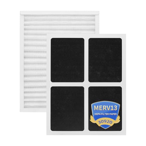 Filtre HEPA 30920 pour purificateur Hunter HEPAtech 30050 et 30054