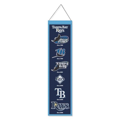 WinCraft Tampa Bay Rays Evolution 8x32 Inch Vertical Wool Embroidered Hanging Banner