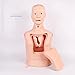 Teaching Model Tools,Half Body Manikin Teaching Models Advanced Nasogastric Tube and Trachea Care Model Gastric Lavage Tracheostomy Model for Nurse and Medical Students 72X35x18cm