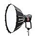 Aputure Light Dome Quick Dome 60 Softbox,60cm(2ft) Circular Bowens Mount with Quick Release Design,Include Diffusion, Light Control Grid, & Carrying Bag for Led Video Light
