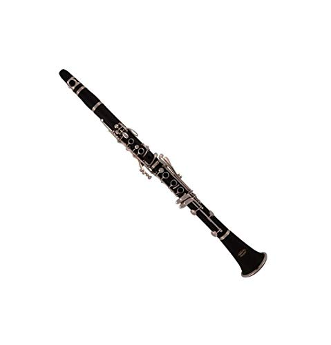 J. Michael CL440 - Clarinete Cover
