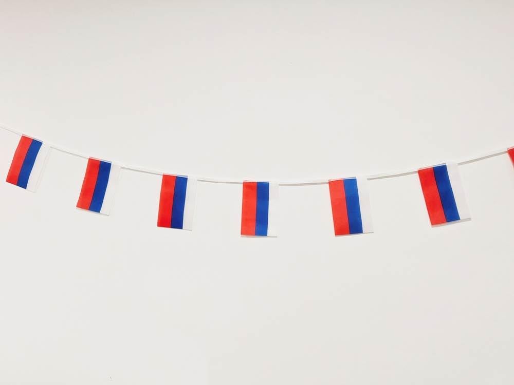 Russia Flag 40 Pcs Russia Flag Russia Garland 11.4M Russia Bunting National Flag European Flags 5.5x8.3 Inch for Garden Bars Decorations (Russia)