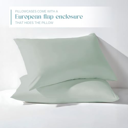 Image of Blue Dahlia 100% Cotton, Standard Size Pillow Covers (18 inch x 28 inch), Set of 2 Pillow Covers, Silky Smooth Feel, 1000TC Solid Pillow Covers, Colour: Sage Green