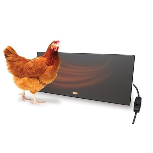 Cozy Products CL Cozy Safe Chicken Coop Heater 200 Watts Safer Than Brooder Lamps, One Size, Black