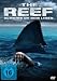 Produktbild The Reef [DVD].
