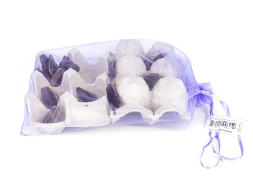Josh's Frogs Adult Male Dubia Roach (10 Count)