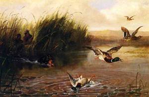 Peinture à l'huile Duck Shooting 1874 Arthur F Tait tableau de chasse ancienne 20x24
