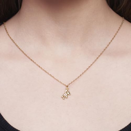 Image of SALTY Anti Tarnish Teddy Charm Pendant Necklace for Women | Stylish Locket Chain | Fashion Jewellery Accessories for Girls | Minimal Jewelry | Gift for Mother's Day | Marriage, Birthday | Gift for Valentine Day