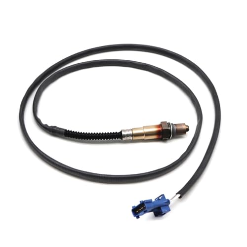 Capteur d'oxygène Lambda O2 0258006029 pour Citroen et Peugeot 206 307 406
