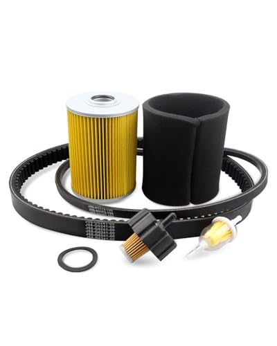 Hulyxayfave Tune Up Kit Fit for Yamaha G2 G5 G8 G9 G11 Golf Cart 1985-1994, Drive Belts, Start Belts, Air Filters, Sponge, Fuel Filter, Spark Plug, Replcement J38-14450-00 J10-14417-01