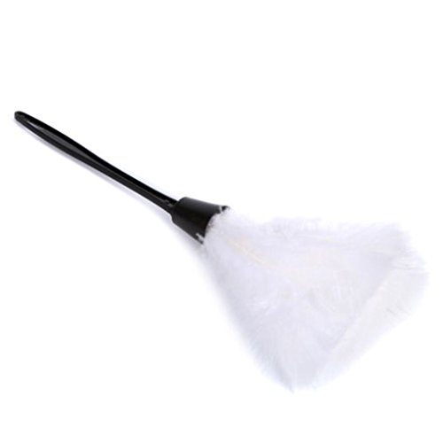 Diamoen 35cm Doux Mini Microfibre Clean Anti Statique Turquie Plumeau Fiber Cleaner Brosse Cover