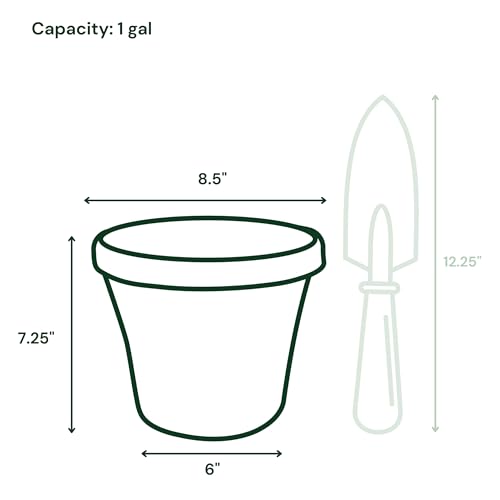 Bloem Terra 8\" Diameter Round Terra Cotta Resin Planter Pot with Drainage Holes for Indoor and Outdoor Gardening - Thumbnail 3
