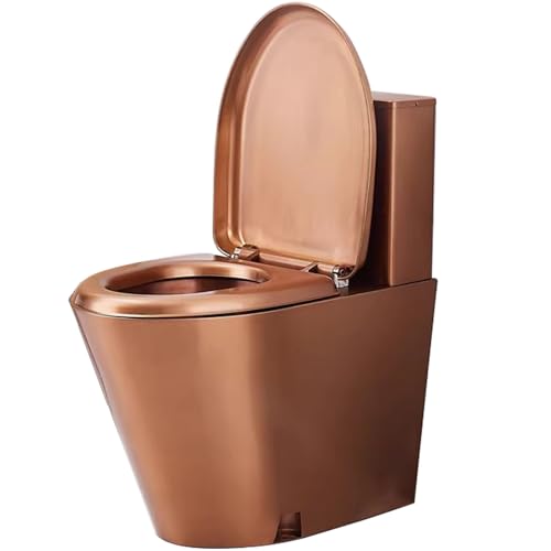 WXXSHGDW 304 Stainless Steel Commercial Dual Flush Toilet, Modern One Piece Toilet, Comfort Seat Height 16", Siphon Flush Anti-Freeze Cracking, for Shopping Malls, Bars, Hospitals(Brown)