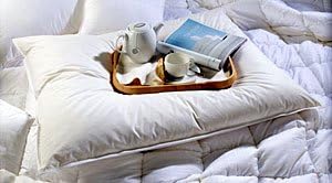 large down pillows