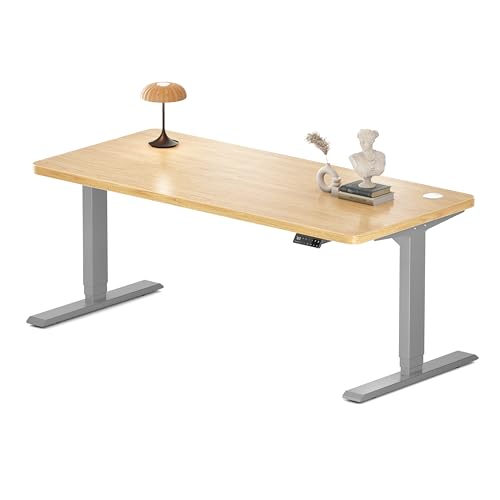 MAIDeSITe Höhenverstellbarer Schreibtisch 160x80cm - Elektrisch Schreibpult Höhenverstellbar 3-stufige mit 2 Energieeffizient‌ Motoren -Stabil & Flüsterleiser Arbeitsplätze Traglast 160kg -S