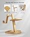Syntech VR Stand Wood Compatible with Meta Quest 3s + Link Cable 16FT