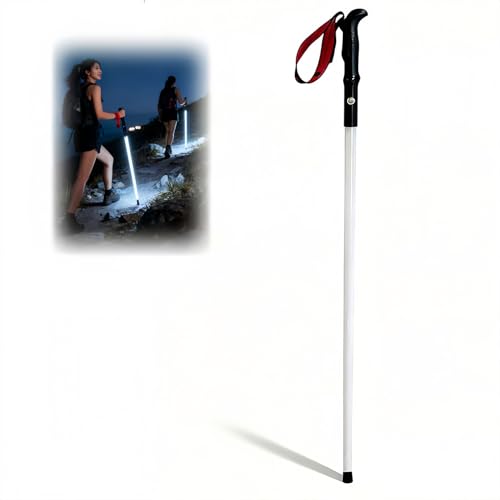 ABABONoRiCgNC~O񒴌yʏƖk֗8ԘAUSB[dtԗpʐ^t⏕~ߏ^jNC~OgbLOnCLO|[oR XebL