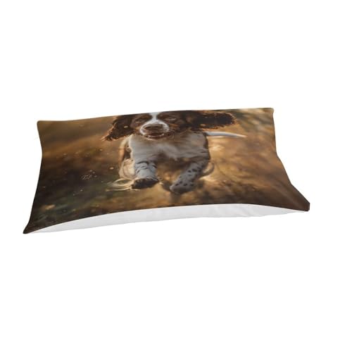 Housse de couette Springer Retriever hypoallergénique et douce contre la transpiration - 5
