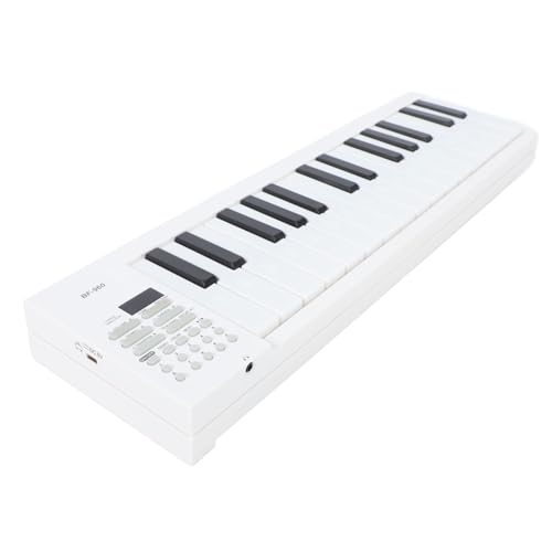 Clavier de Piano Portable Pliable à 61 Touches, Jouet électronique avec Enregistrement et Lecture pour les Amateurs de Musique - Les Beatles, Paul McCartney, John Lennon, RIngo Starr, George Harrison Clavier de Piano Portable Pliable à 61 Touches, Jouet électronique avec Enregistrement et Lecture pour les Amateurs de Musique – Image 5