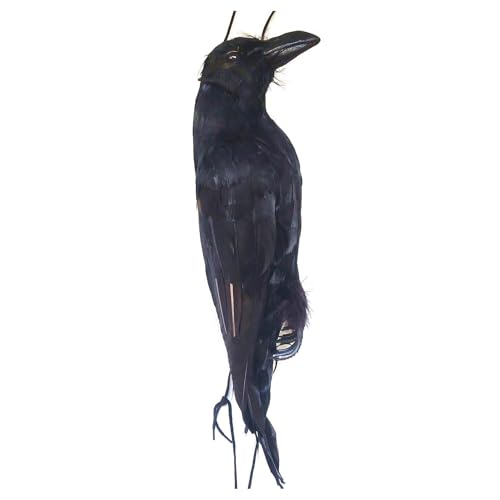 Decoración de Halloween Black Crow - Pájaro Negro portátil Realista, decoración de pájaros realistas | Tentación de Caza de Cuervos Muertos de Larga duración, Adorno de Cuervo Espeluznante pa