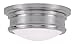 Livex Lighting 7341-91 Astor 2 Light Ceiling Mount, Brushed Nickel
